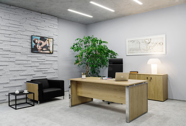 Кабинет руководителя Exe